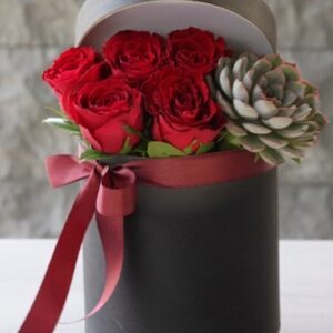 Kutuda Kırmızı Gül ve Echeveria